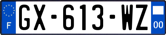 GX-613-WZ