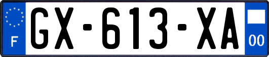 GX-613-XA