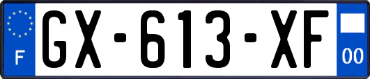 GX-613-XF
