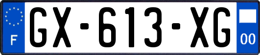 GX-613-XG