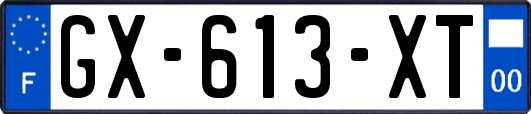 GX-613-XT