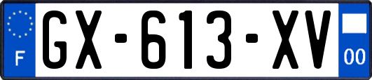 GX-613-XV
