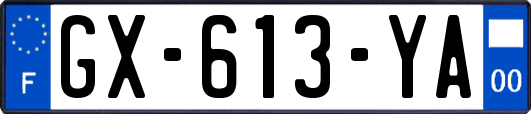 GX-613-YA