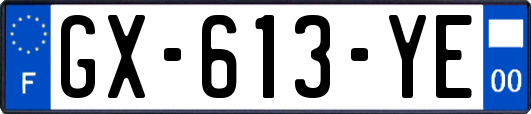 GX-613-YE