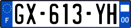 GX-613-YH