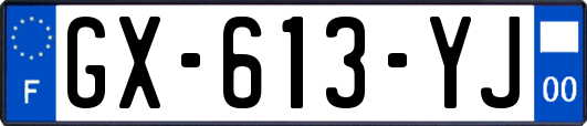 GX-613-YJ