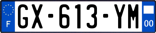 GX-613-YM