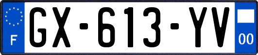 GX-613-YV