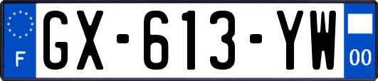 GX-613-YW