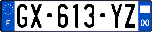 GX-613-YZ