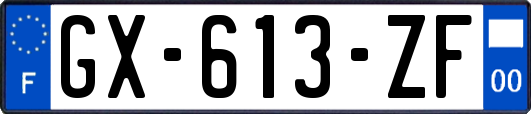 GX-613-ZF