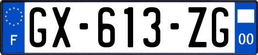 GX-613-ZG