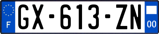 GX-613-ZN
