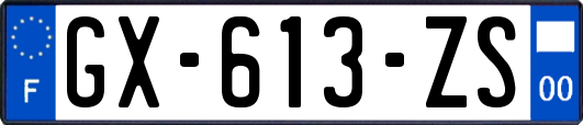 GX-613-ZS