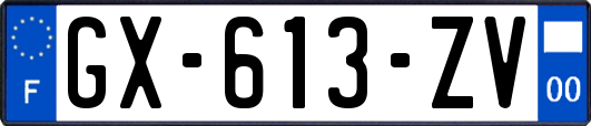 GX-613-ZV