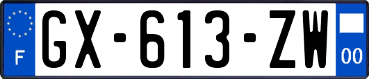 GX-613-ZW