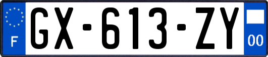 GX-613-ZY
