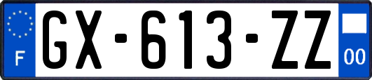 GX-613-ZZ