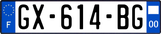 GX-614-BG