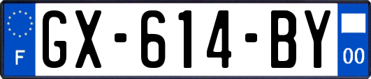 GX-614-BY