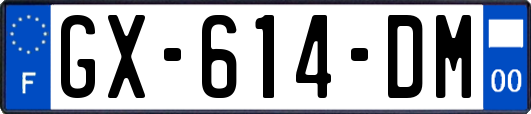 GX-614-DM