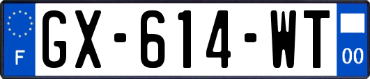 GX-614-WT