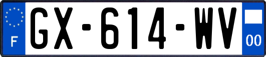 GX-614-WV
