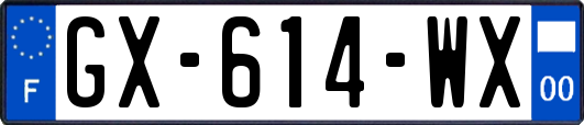 GX-614-WX