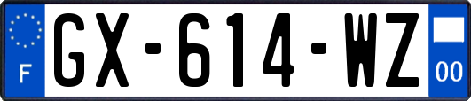 GX-614-WZ
