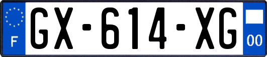 GX-614-XG