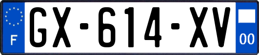 GX-614-XV