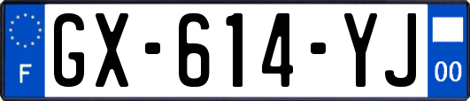 GX-614-YJ