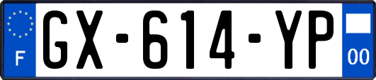 GX-614-YP