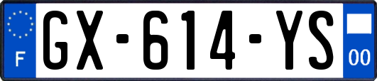 GX-614-YS
