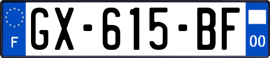 GX-615-BF