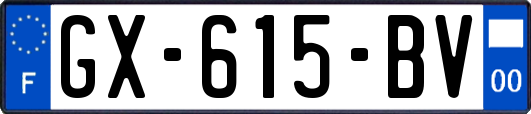GX-615-BV