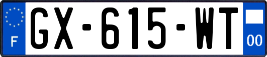 GX-615-WT