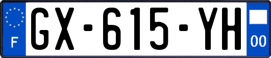 GX-615-YH