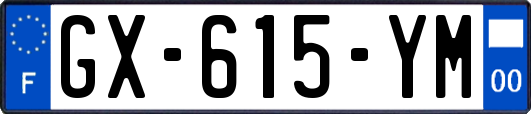 GX-615-YM