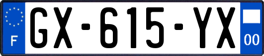 GX-615-YX
