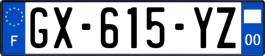 GX-615-YZ