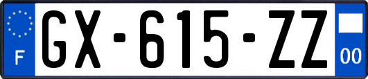 GX-615-ZZ