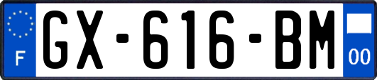 GX-616-BM