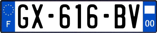 GX-616-BV