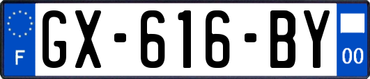 GX-616-BY