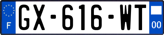 GX-616-WT