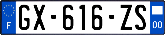 GX-616-ZS