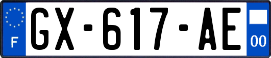 GX-617-AE