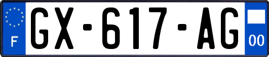 GX-617-AG