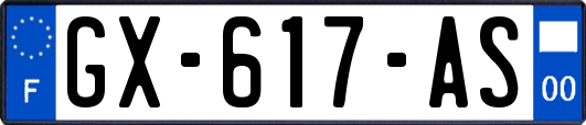 GX-617-AS